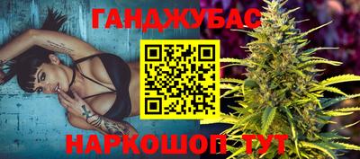 индика Гай