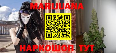индика Гай