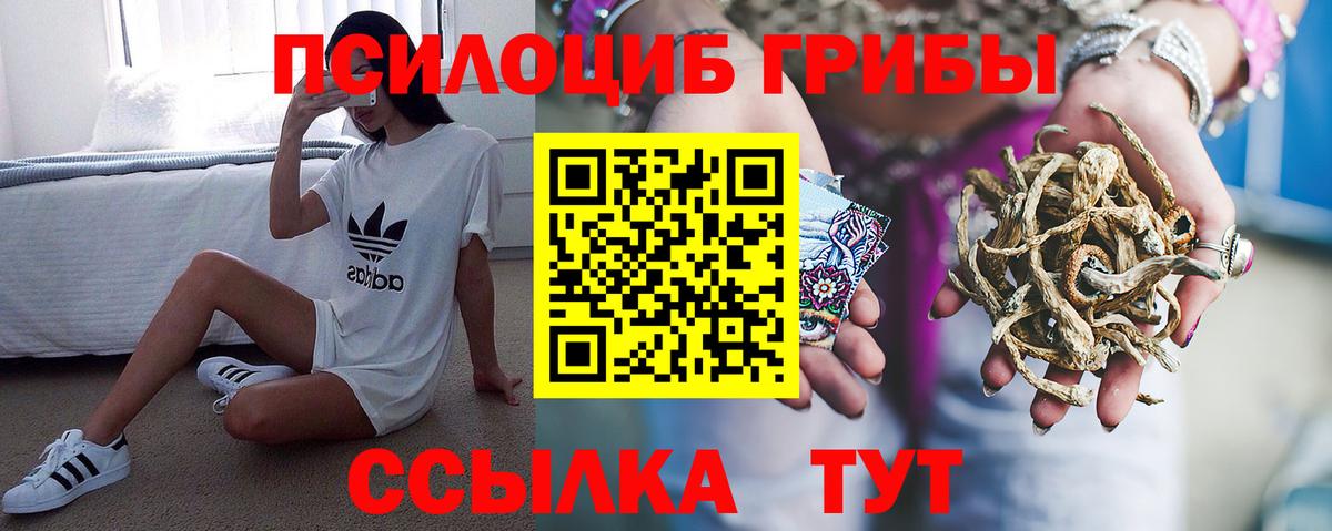Луховицы  где найти наркотики  Вход с VPN  Псилоцибиновые грибы прущие грибы 